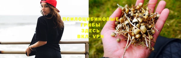 кокс Майский