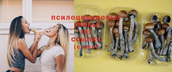 соль ск Абинск