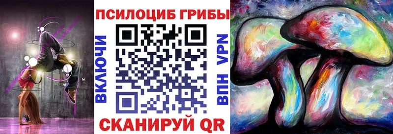 цены наркотик  Таштагол  Псилоцибиновые грибы мицелий 